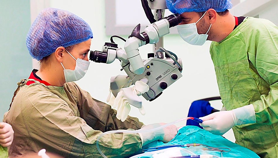 Baş ve Boyun Cerrahisi Antalya